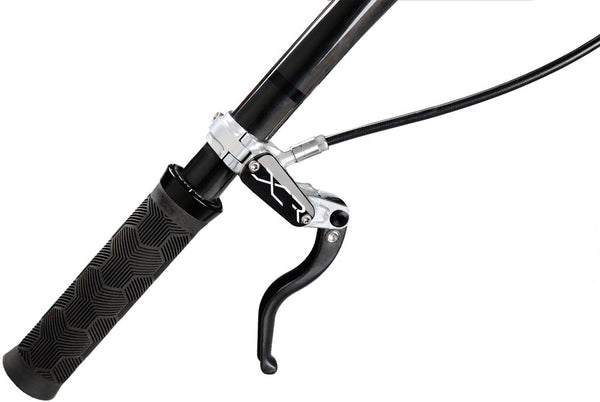 BR5389-01_grande.jpg?v=1730353505