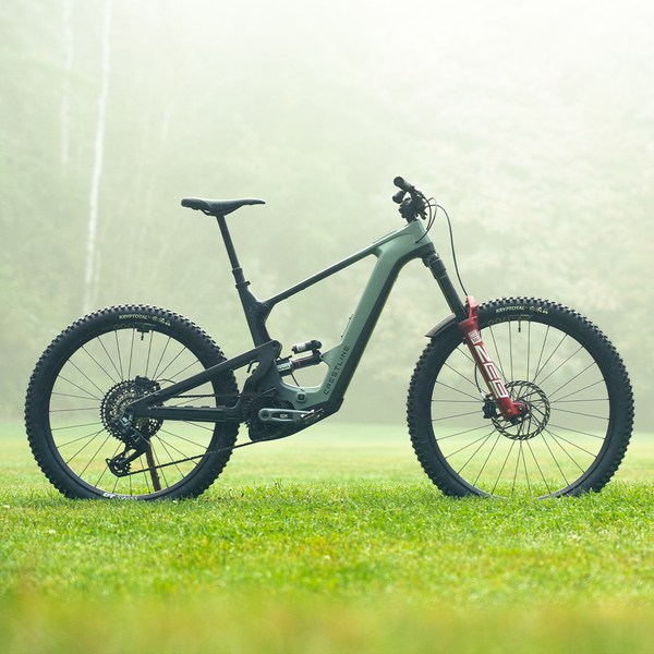 Crestline S 180 Classic Edition 2025 - Bosch Motor, 800WH Battery