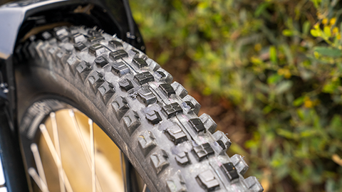 Higher Pressure = More Grip? Schwalbe Albert Radial Trail Pro Review