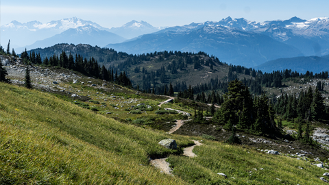 Chasing Epic MTB Adventures - Join Us In Whistler In June 2023!