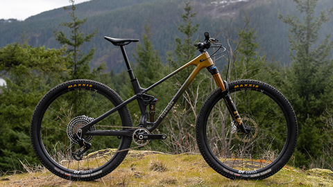 Meet the Forbidden Reya - A New Short Travel Bike With Big Intentions