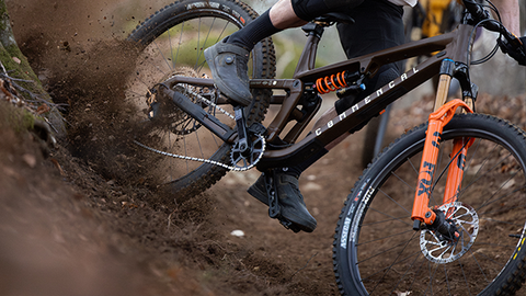 Everything You Need to Know About Fox’s 2026 Product Updates