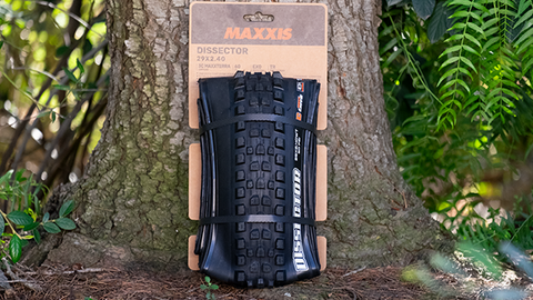 Employee Review: The New Maxxis Dissector - Performance, Optimized