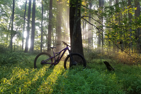 RockShox Monarch Plus RC3 Autosag Shock: Rider Review | Worldwide