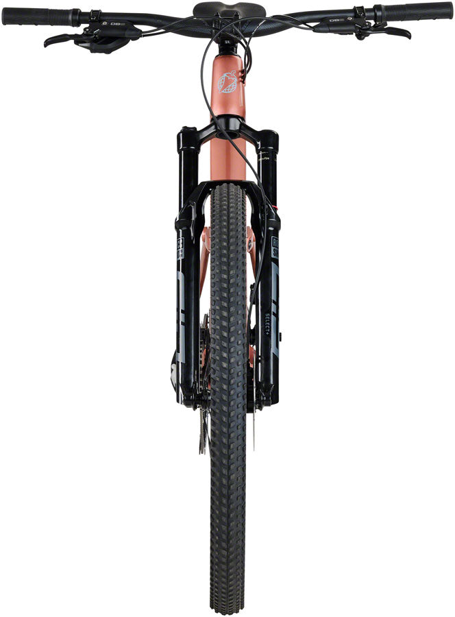 Salsa Spearfish C Eagle 90 Transmission Bike - 29", Carbon, Dusty Rose, X-Large - Mountain Bike - Spearfish C Eagle 90 Transmission Bike - Dusty Rose