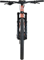 Salsa Spearfish C Eagle 90 Transmission Bike - 29", Carbon, Dusty Rose, X-Large - Mountain Bike - Spearfish C Eagle 90 Transmission Bike - Dusty Rose