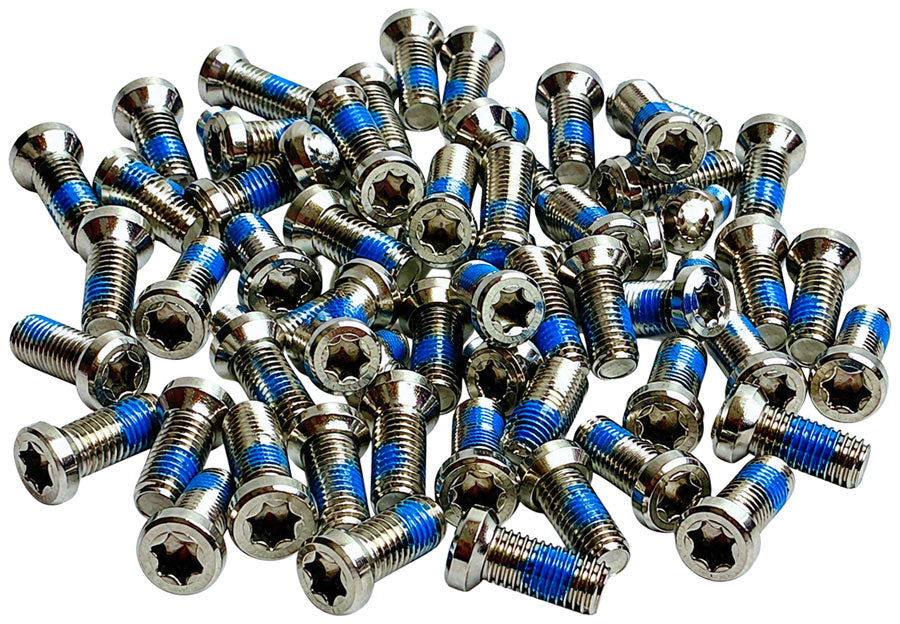 Wheels Manufacturing Direct Mount Gravel Chainring Bolts - One pack of 50 bolts, For 8-Bolt Chainring, M4, T20 MPN: CR-8BOLT-50PK UPC: 811079023131 Chainring Bolt Direct Mount Chainring Bolts