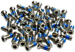 Wheels Manufacturing Direct Mount Gravel Chainring Bolts - One pack of 50 bolts, For 8-Bolt Chainring, M4, T20 MPN: CR-8BOLT-50PK UPC: 811079023131 Chainring Bolt Direct Mount Chainring Bolts