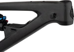 Salsa Blackthorn Carbon Frame - Carbon, Raw - Mountain Bike - Blackthorn C Frame - Raw