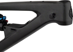 Salsa Blackthorn Carbon Frame - Carbon, Raw, Small - Mountain Bike - Blackthorn C Frame - Raw