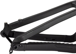 Salsa Blackthorn Carbon Frame - Carbon, Raw, X-Large - Mountain Bike - Blackthorn C Frame - Raw