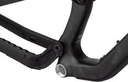 Salsa Blackthorn Carbon Frame - Carbon, Raw, Large - Mountain Bike - Blackthorn C Frame - Raw