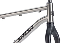 Salsa Fargo Ti Frameset - 29", Titanium, Brushed Titanium, LG - All-Road Frame - Fargo Ti Frameset - Brushed Titanium