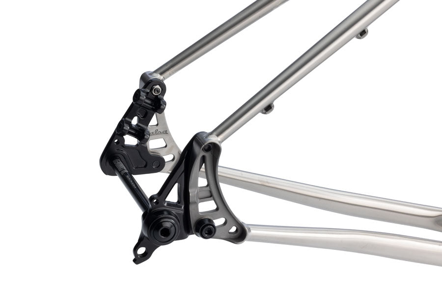 Salsa Fargo Ti Frameset - 29", Titanium, Brushed Titanium, LG - All-Road Frame - Fargo Ti Frameset - Brushed Titanium