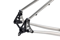 Salsa Fargo Ti Frameset - 29", Titanium, Brushed Titanium, Large - All-Road Frame - Fargo Ti Frameset - Brushed Titanium