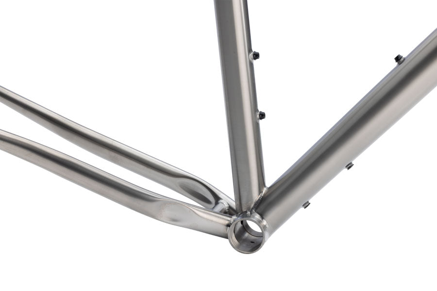 Salsa Fargo Ti Frameset - 29", Titanium, Brushed Titanium, X-Small - All-Road Frame - Fargo Ti Frameset - Brushed Titanium