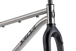 Salsa Fargo 32 Ti Frameset - 32", Titanium, Brushed Titanium, Medium - All-Road Frame - Fargo 32 Ti Frameset - Brushed Titanium