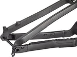 Salsa Cassidy Carbon Frame - Carbon, Raw, Large - Mountain Frame - Cassidy Carbon Frame - Raw