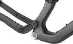 Salsa Cassidy Carbon Frame - Carbon, Raw Mountain Frame Cassidy Carbon Frame - Raw
