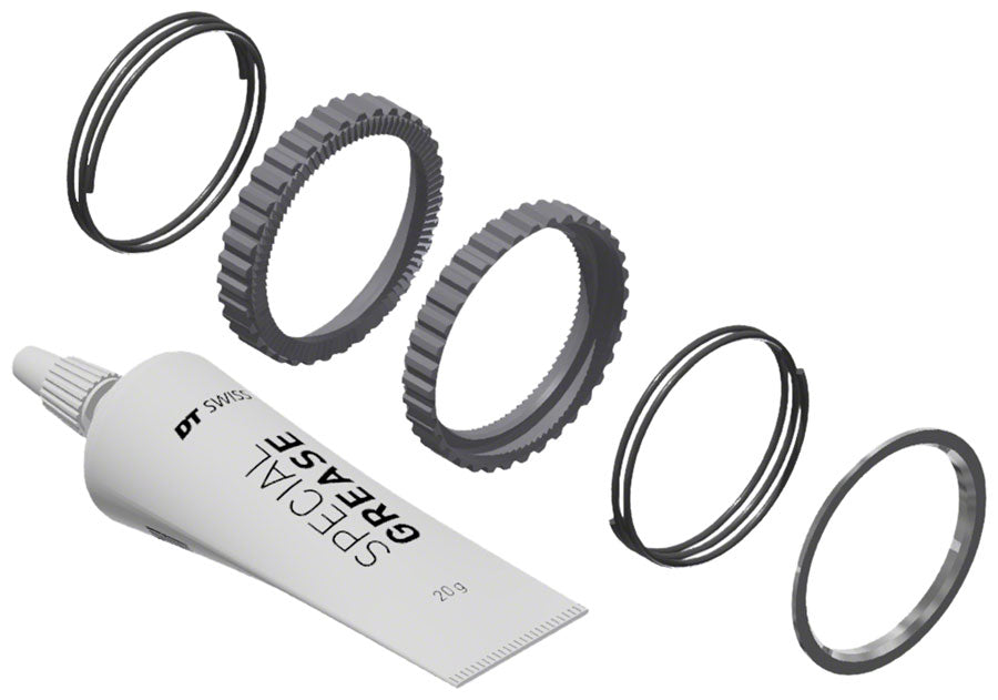 DT Swiss Ratchet DEG Service Kit 90t1