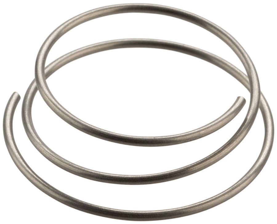 DT Swiss Star Ratchet Spring Other Hub Part | Part