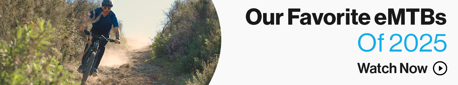 The Best eMTBs of 2025