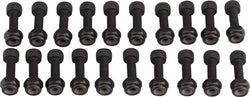 RaceFace Chester Pedal Pin Kit, 20 Pins Black MPN: F11006RF UPC: 821973293967 Pedal Small Part Pin Kits