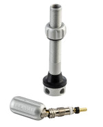 Teravail Alloy Tubeless Valves - Pair, 48mm,  Matte Silver - Tubeless Valves - Alloy Tubeless Valves