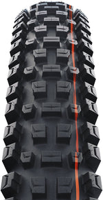 Schwalbe Albert Tire - 29 x 2.50, Tubeless, Folding, Black, Evolution Line, Trail Pro, Addix Soft, Radial, E-50 - Tires - Albert Tire