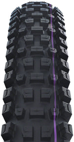 Schwalbe Albert Tire - 27.5 x 2.50, Tubeless, Folding, Black, Evolution Line, Trail Pro, Addix Ultra Soft, Radial, E-50 - Tires - Shredda Front Tire