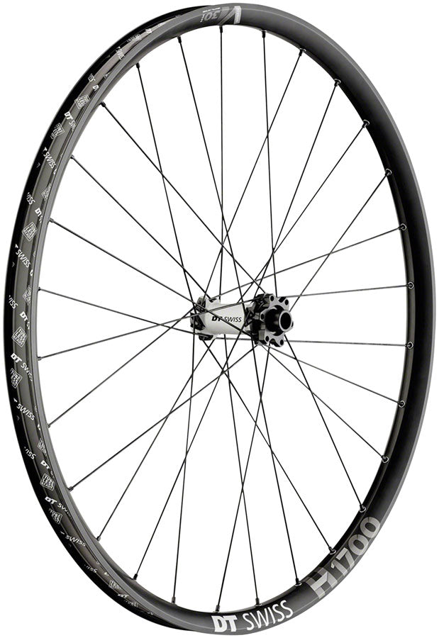 DT Swiss H 1700 Spline 30 Front Wheel: 29", 15 x 110mm Boost, 6-Bolt, Black, Ebike MPN: W0H1700BFIXSA06093 Front Wheel H 1700 Spline 30 Front Wheel