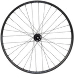 Quality Wheels DT 350 / Stans Arch S2 Front Wheel - 29", 15 x 110mm, 6-Bolt, Black, 32H - Front Wheel - DT 350 / Stans Arch S2 Front Wheel