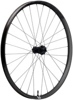 RaceFace Era SL Front Wheel - 29", 15 x 110mm, 6-Bolt, Carbon Black - Front Wheel - Era SL Front Wheel
