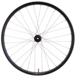 Teravail Circos Wide Gravel Rear Wheel - 32", 12 x 148mm Boost, 6-Bolt, XD, Carbon, DT350, 28H - Rear Wheel - Circos Wide Gravel 32" Rear Wheel