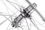 DT Swiss FR 1500 Classic Rear Wheel - 29", 12 x 148mm, 6-Bolt, XD, Ratchet DEG 90 DF, Silver LTD - Rear Wheel - FR 1500 Classic 30 Rear Wheel