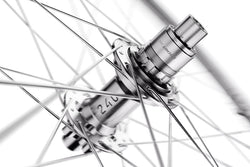 DT Swiss FR 1500 Classic Rear Wheel - 29", 12 x 148mm, 6-Bolt, XD, Ratchet DEG 90 DF, Silver LTD - Rear Wheel - FR 1500 Classic 30 Rear Wheel