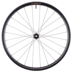 Teravail Circos Gravel Front Wheel - 700, 12 x 100mm, Center-Lock, Carbon, DT240, 24H UPC: 708752571655 Front Wheel Circos DT 240 Gravel Front Wheel