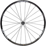 ENVE Composites M5 Pro Front Wheel - 29", 15 x 110, Center-Lock, Black - Front Wheel - M5 Pro Front Wheel