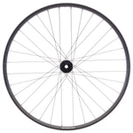 Stan's Arch MK4 LTD Front Wheel - 29, 15 x 100mm, 6-Bolt, Black - Front Wheel - Arch MK4 LTD Front Wheel