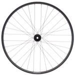 Stan's Arch MK4 LTD Front Wheel - 29, 15 x 110mm, 6-Bolt, Black - Front Wheel - Arch MK4 LTD Front Wheel