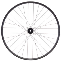 Stan's Arch MK4 LTD Front Wheel - 29, 15 x 110mm, 6-Bolt, Black - Front Wheel - Arch MK4 LTD Front Wheel
