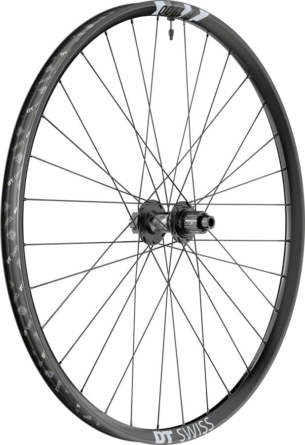 DT Swiss F 1900 Classic Rear Wheel - 29