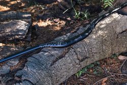 Trail One Components The Crockett Alloy Handlebar 35mm Diameter - 35mm Rise MPN: 0003-35-35 Flat/Riser Handlebar Crockett Alloy