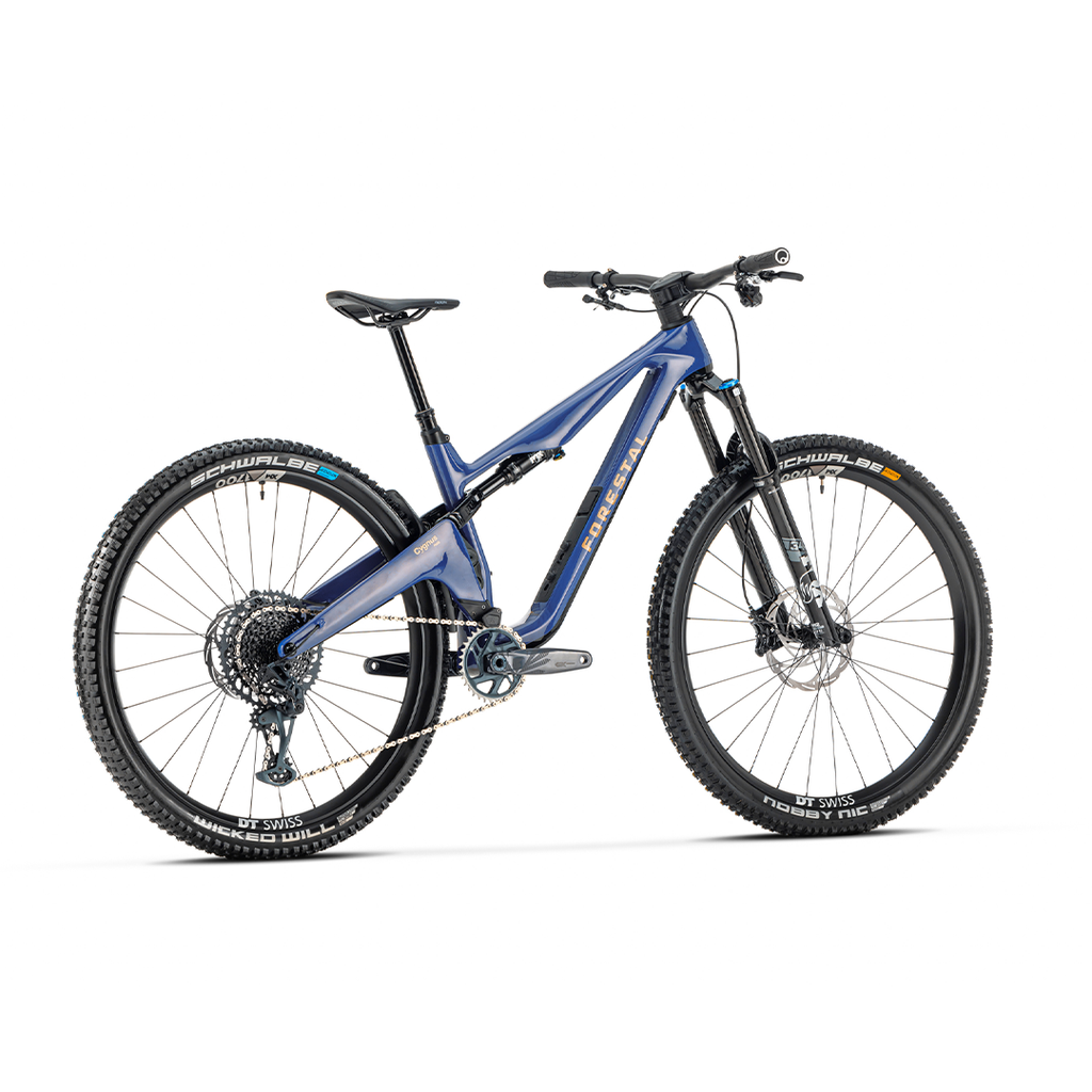 Forestal Cygnus Complete Bike w/ Halo Build, Blue / Black Mountain Bike Cygnus
