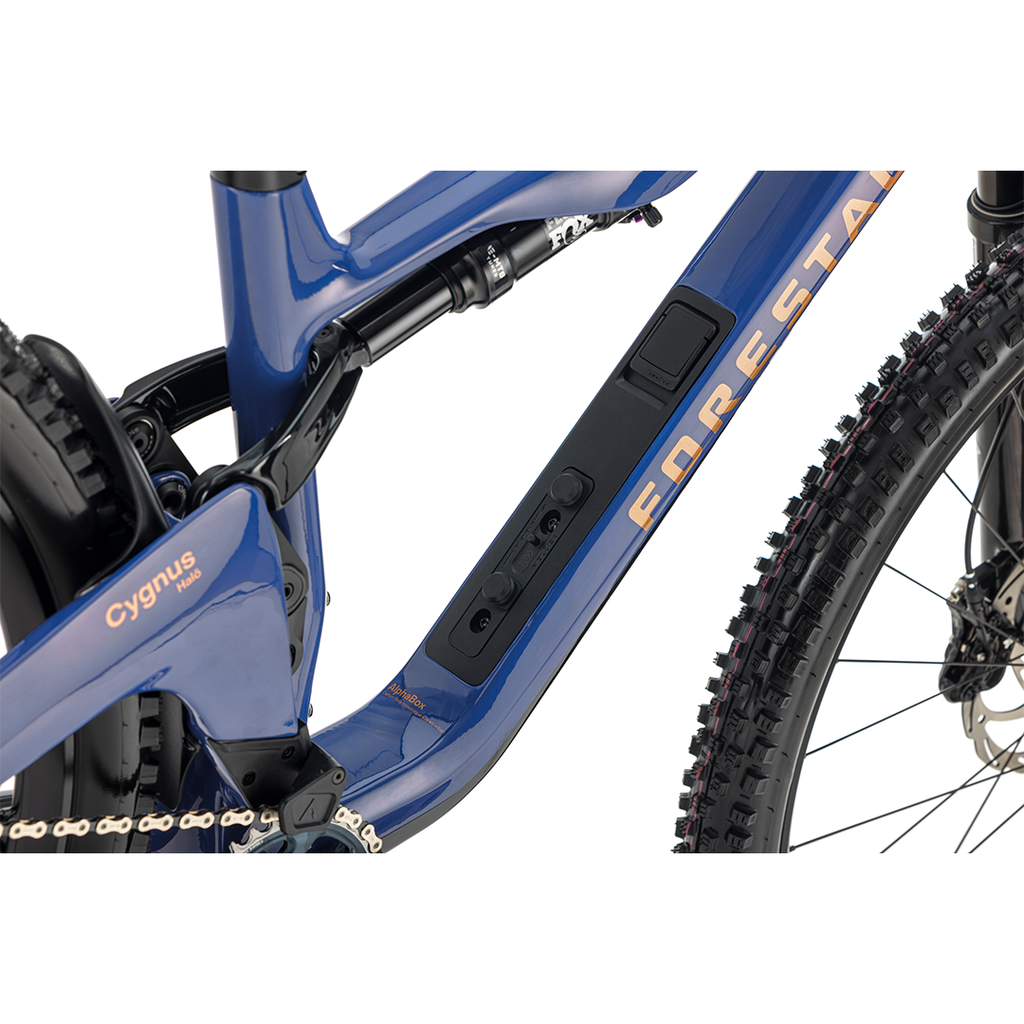 Forestal Cygnus Complete Bike w/ Halo Build, Blue / Black Mountain Forestal Cygnus Complete Bike w/ Halo Build, Blue / Black Mountain