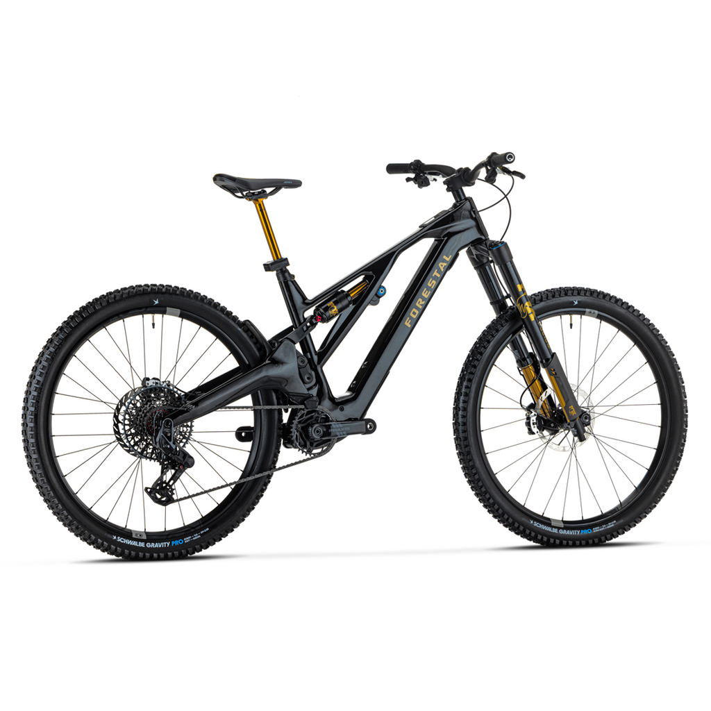 Forestal e-Siryon v2 Complete E-Bike w/ Diode Build, Avinox M2S, 800Wh, Gloss Raw Carbon E-Mountain Bike e-Siryon v2