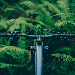 PNW The Loam Carbon Handlebar, 800mm width, 35mm bore, Black - Flat/Riser Handlebar - Loam