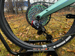 Forestal Siryon Complete Bike w/ Diode Build, Medium, Celadon Metallic Lightly Used