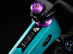 Yeti SB160 Turq Series 40th Anniversary Team Edition Complete Bike w/ XTR Build, Gray/Turq