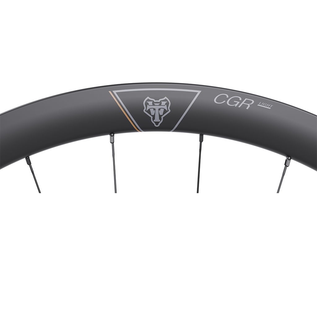 WTB CGR i28 Carbon Gravel Rear Wheel 700c 12x142mm CenterLock Wheel CGR i28